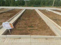 <b>4、透有中空区域</b>